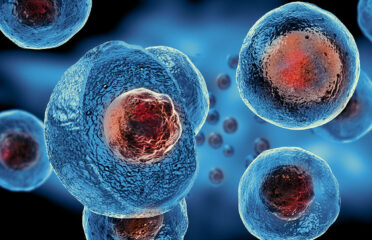 Stem Cell Therapy Los Angeles: Regenerative Medicine Clinic